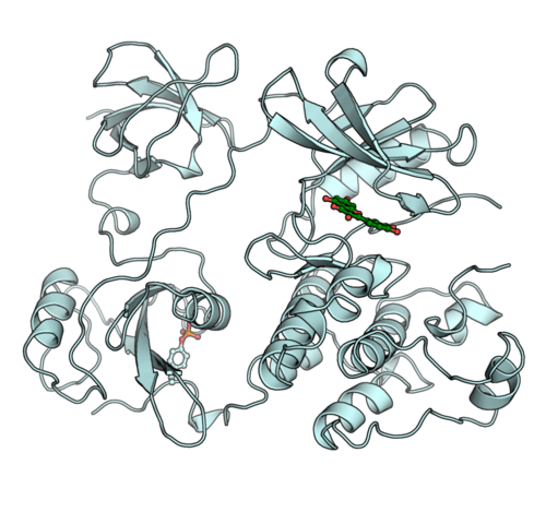 Tyrosine kinases